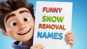 funny snow removal names