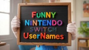 funny nintendo switch usernames