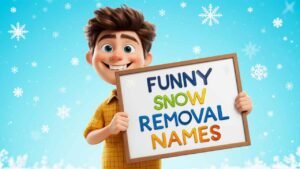 funny snow removal names